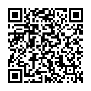 谁知道那边是不是一只龇牙咧嘴面目狰狞的猛兽二维码生成