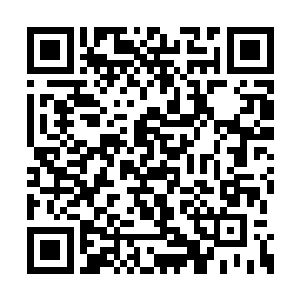 谁能够想到他竟然要用这面旗帜做龙耀会的旗帜二维码生成