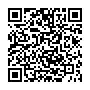 谁能想到一个半步万象境竟然是个深藏不漏的天才呢二维码生成