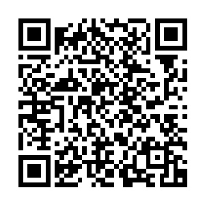谁能把眼前这位从世家公子演变成土豪炫富的傻爸爸给扔出去二维码生成