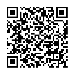 谁让她的亲生父亲是原缅甸远征军后裔的领袖呢二维码生成