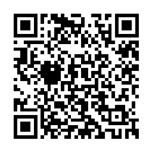 谁让这个家伙每每都在自己面前摆出前辈的架势二维码生成