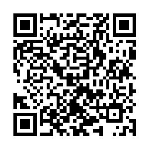 谁说人偶兽必须先对付我们……这人偶兽的实力太强了二维码生成