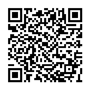 谁还不知道这飞剑的主人和澜平子关系非同一般二维码生成