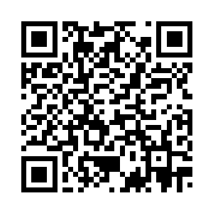 谁这么没脑子竟然会对你们出手~二维码生成