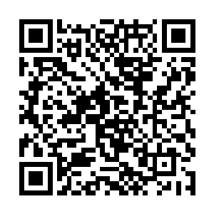 谁都不知道这是不是这位地狱领主又在准备什么阴谋二维码生成