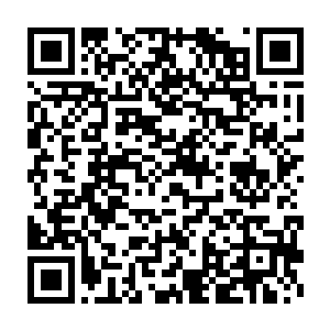 谁都无法从她的这些动作之中分解出那么多似曾相识的特殊的细节来二维码生成