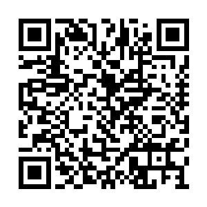 谁都没料到武林大会开始之前竟然就要打起来了二维码生成