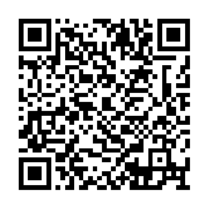 谁都知道太子和齐文谨一起吧大元的皇帝给绑了二维码生成