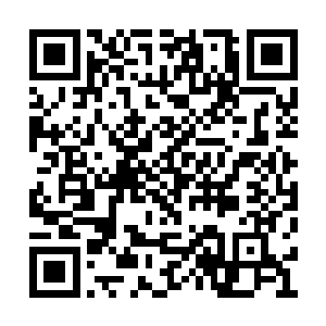 谁都知道龙果能够挽救多少患上特殊疾病的孩子二维码生成