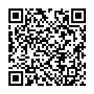 调查自己之前那些事的主意也是这个家伙出的点子二维码生成