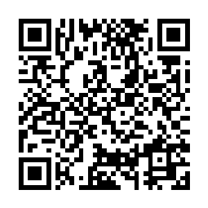 谋杀之神这群躲在阴暗处的家伙有着非同一般的天赋二维码生成