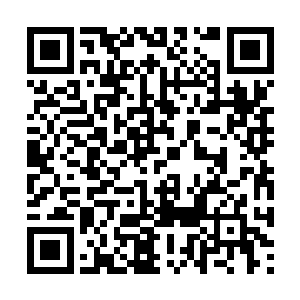 谛听小队每天都需要去完成苏凡给他们接取的人物二维码生成