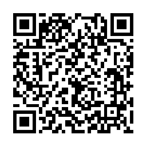 谢修兀自有些难以置信的看着那跟白发喃喃自语道二维码生成