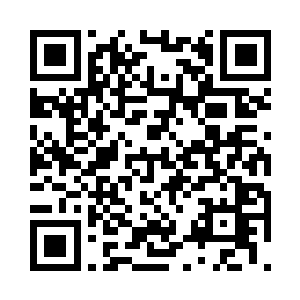 谢修已经取出了一个巴掌大小的青色蚌壳二维码生成