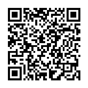 谢兰兰则捡起桌上的眼镜架到了米院长有些塌陷的鼻梁上二维码生成