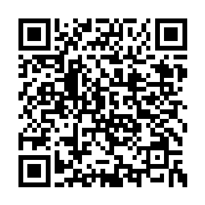 谢姝宁虽让月白三五不时地就去寻荔枝打听一番二维码生成