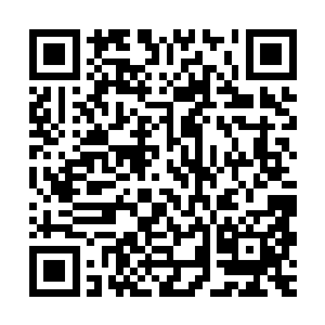 谢柔清只觉得眼前女孩子的每一次落笔都如同刀子割在她的身上二维码生成