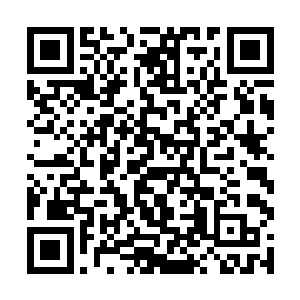 谢清湛原以为谢清溪的计划或许不会这么轻易成功呢二维码生成