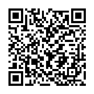 谢清溪知道谢清湛是真的心疼那个无父无母的孩子二维码生成