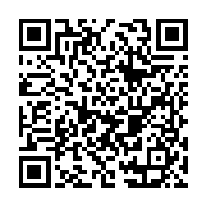谢清溪这会才后知后觉地回忆起谢清懋方才说的话二维码生成