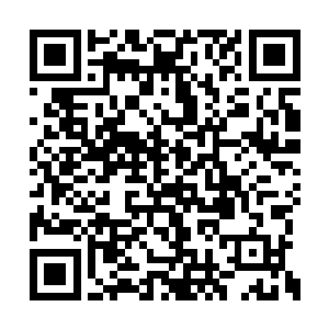 谢老太爷站在门口看着丫头们喊道追进了屋子里二维码生成