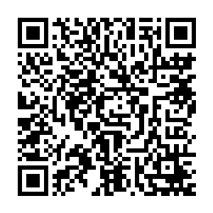 谢芳华到从来没见过在她匕首捅到他心窝还能谈笑自若不色变惊惧的人二维码生成