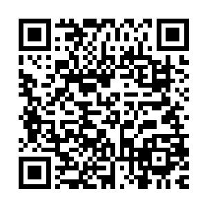 谢芳华本人给他们的震惊已经大过了她本身忠勇侯府的小姐身份二维码生成