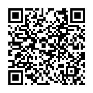 谭宇仙尊就透露出许多剑尘都不曾掌握的机密信息二维码生成