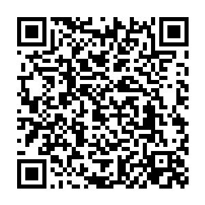 谷军包括我不认识的两个看上去具备明显日本人特征的中年人都在二维码生成