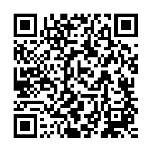 谷青龙长老觉得自己至少可以在那浑天宝球之内拿到二十分以上二维码生成