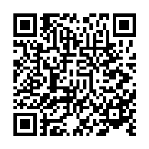 豆沙县最大的女商人梁琪带着一群商贾家的大老婆也来了二维码生成