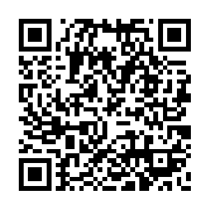 豆腐皮卷着鹅肉香菇和笋丝上笼用茶叶薰蒸烹熟二维码生成