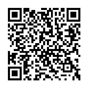 貌似和自己的儿子林烽有些说不清道不明的瓜葛二维码生成