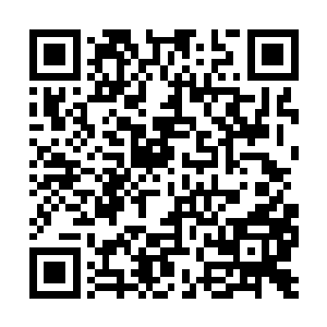 貌似她脸上褶皱显露出的嘲讽还停留在空气中……二维码生成