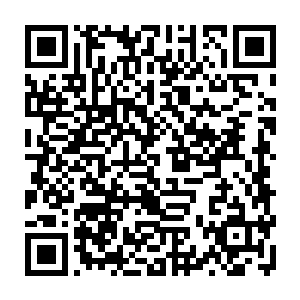 貌似并不愿她杀死他一样……这种本体潜意识与提交给主神意愿相违背的任务二维码生成