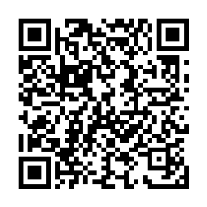 貌似真没有太将那个机缘巧合吃下金鳞龙鱼的小子放在眼内二维码生成