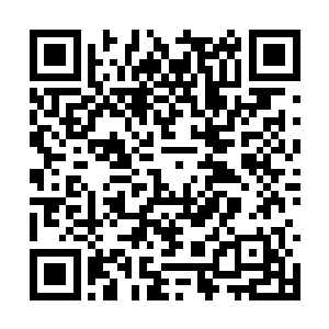 貌似除了不得不退出游戏来更换营养仓的营养液外二维码生成