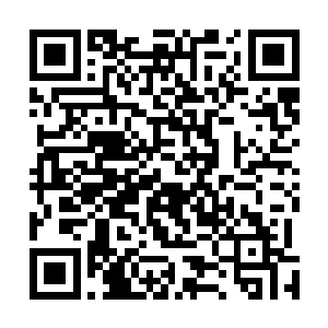 贝利特和易丽儿两人大概也感觉到貌似这气氛有些不对劲二维码生成