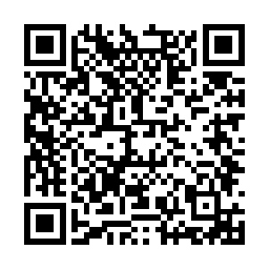 贝海一边这么想着一边抬手也对着人家打了声招呼二维码生成