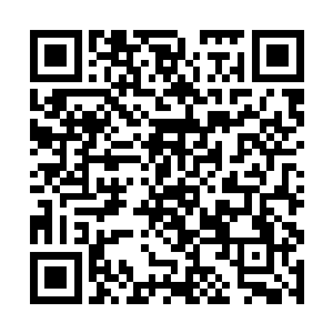 贝海又和一位不知道捕什么鱼的船长打了声招呼之后二维码生成