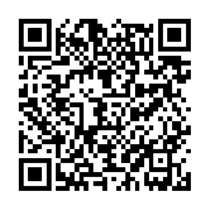 贝海发现来的就只有黎未未一个人不由的好奇问道二维码生成