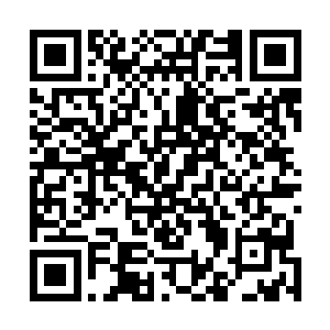 贝海发现许辉这家伙己经在自己的客厅和黎铭正聊的热络二维码生成