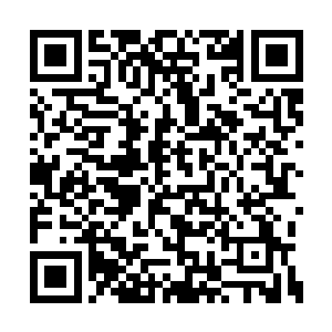 贝海就把自己昨天弄上船的大虾笼里放上了饵料二维码生成