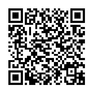 贝海望着甲板上面面相觑的两位海洋生物学家不由的打趣说道二维码生成