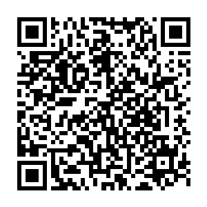 贝海的脑海里显示出了土狗正在追逐着一个颜色非常鲜艳的奇怪的鱼二维码生成