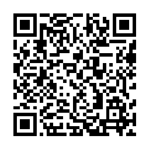 贝海装模作样的翻了一下把照片递回给了斯蒂芬摇着头说道二维码生成
