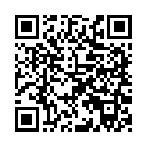 贝海还是坐在板上用两只脚轮当桨划水二维码生成