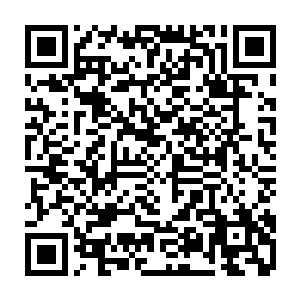 贝海这边打量起了两个娃儿发现这几个月没见两个小东西又长高了一点儿二维码生成