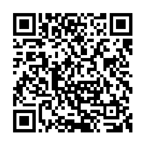 贝琳达与爱葛妮丝将会成为我的代言人和监督者二维码生成